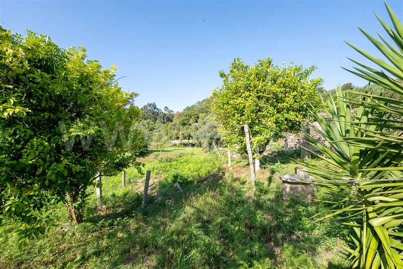 Terreno Urbano  Vila Nova de Cerveira, Candemil e Gondar - 1505018 - 5