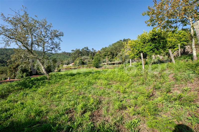 Terreno Urbano  Vila Nova de Cerveira, Candemil e Gondar - 1505018 - 5