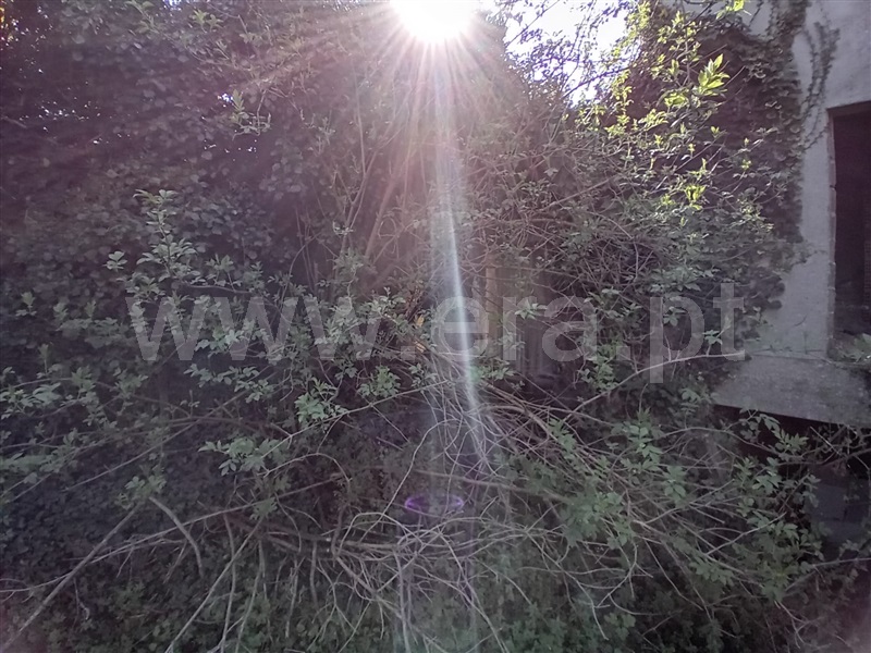 Terreno Urbano  Vila Real, Nogueira e Ermida - 1466374 - 9