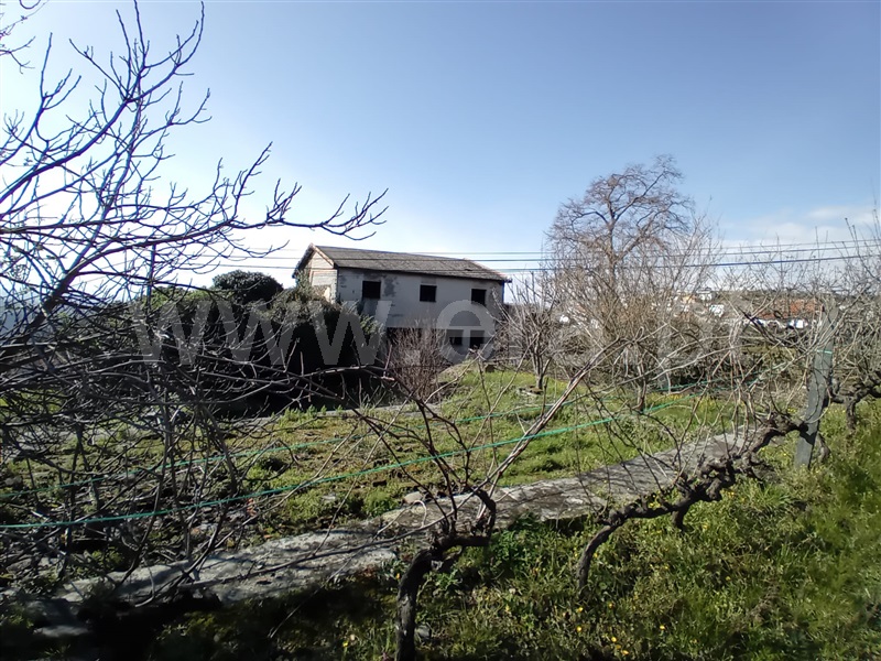 Terreno Urbano  Vila Real, Nogueira e Ermida - 1466374 - 12