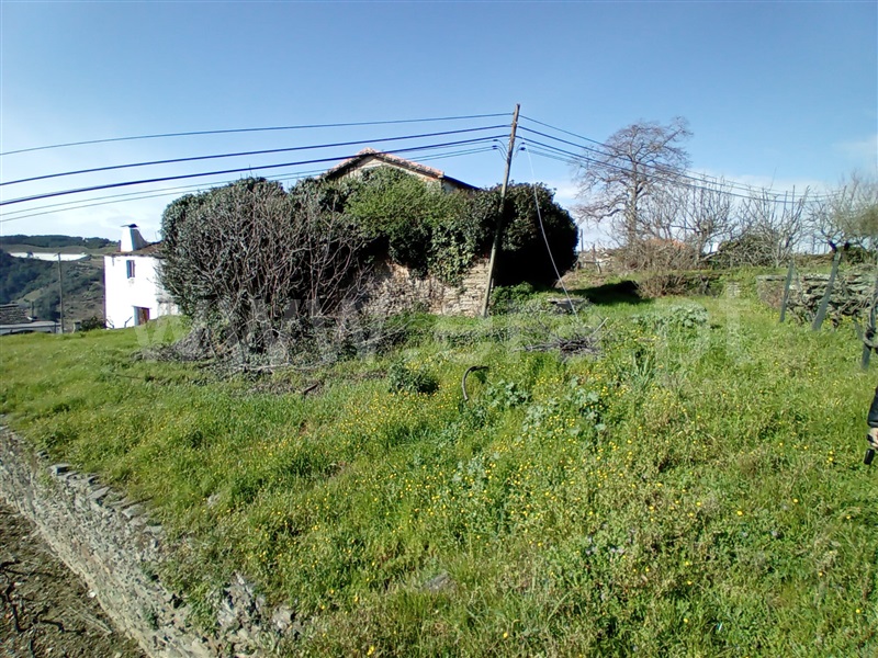 Terreno Urbano  Vila Real, Nogueira e Ermida - 1466374 - 14
