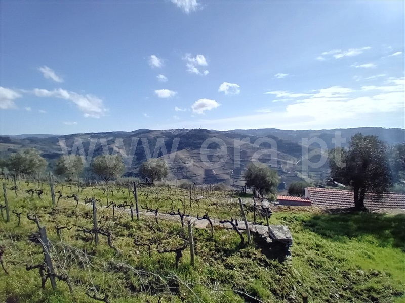 Terreno Urbano  Vila Real, Nogueira e Ermida - 1466374 - 15