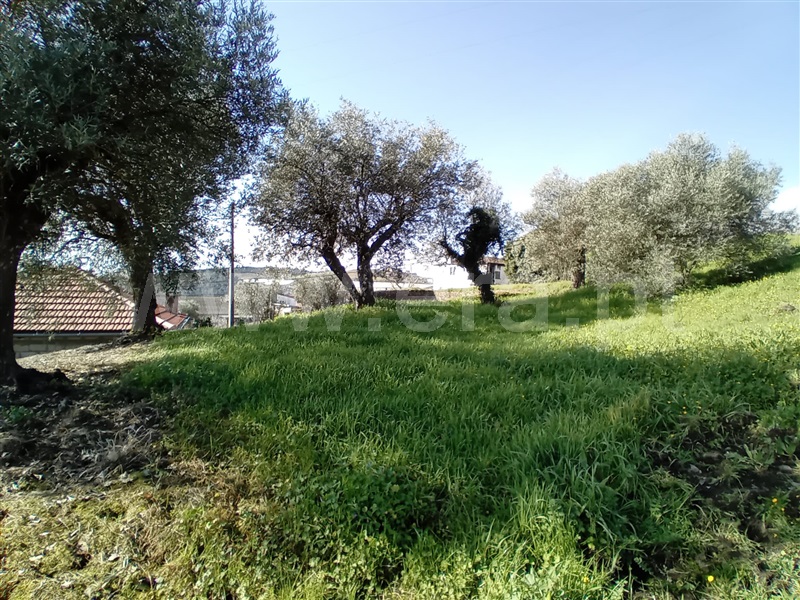Terreno Urbano  Vila Real, Nogueira e Ermida - 1466374 - 17