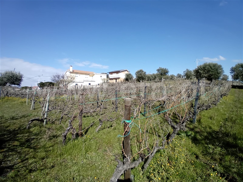 Terreno Urbano  Vila Real, Nogueira e Ermida - 1466374 - 18