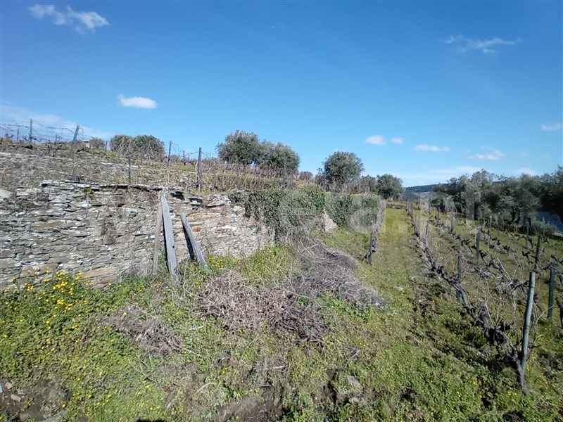 Terreno Urbano  Vila Real, Nogueira e Ermida - 1466374 - 20