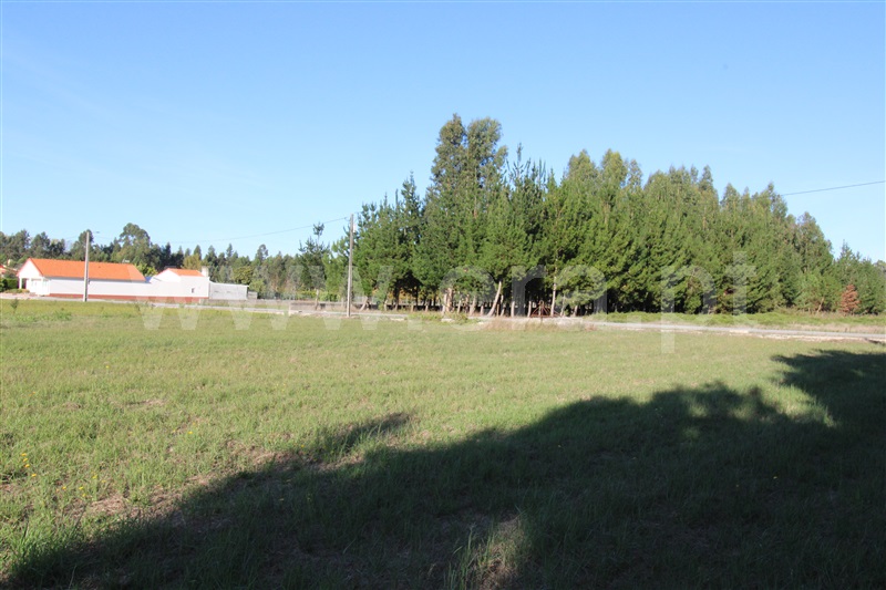 Terreno  Vagos, Fonte de Angeão e Covão do Lobo - 1285808 - 1