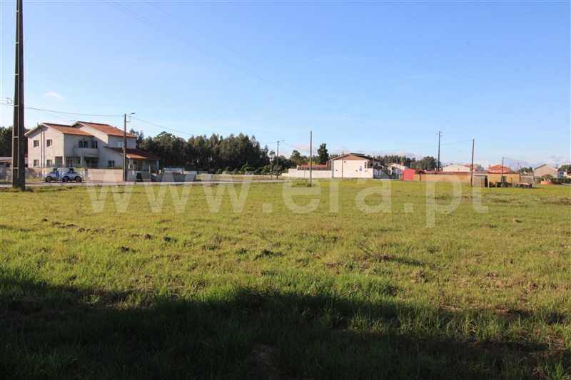 Terreno  Vagos, Fonte de Angeão e Covão do Lobo - 1285808 - 2