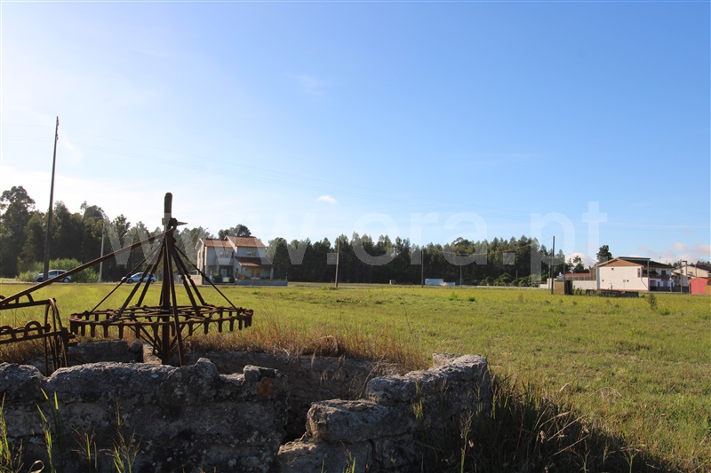 Terreno  Vagos, Fonte de Angeão e Covão do Lobo - 1285808 - 3