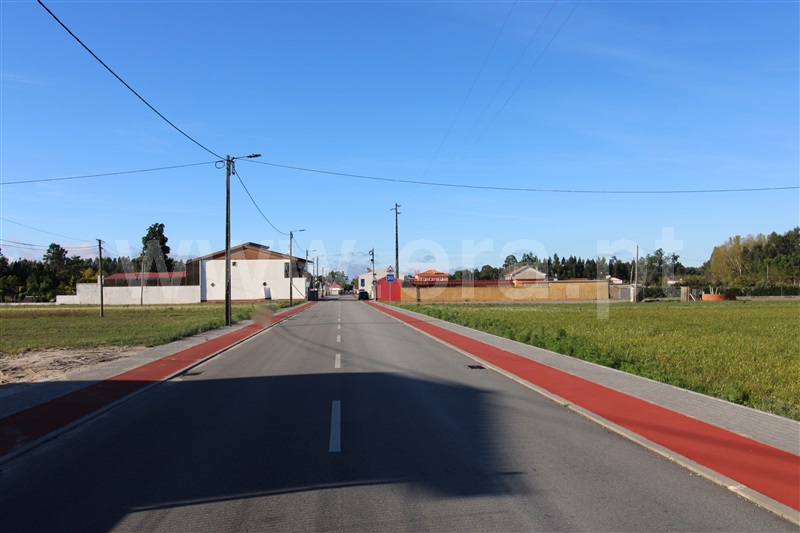 Terreno  Vagos, Fonte de Angeão e Covão do Lobo - 1285808 - 5