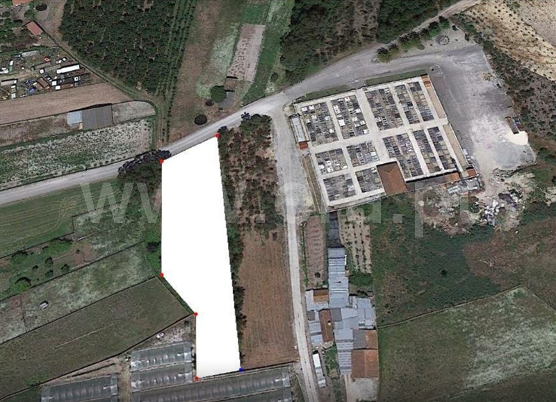 Terreno / Vagos, Ponte de Vagos e Santa Catarina
