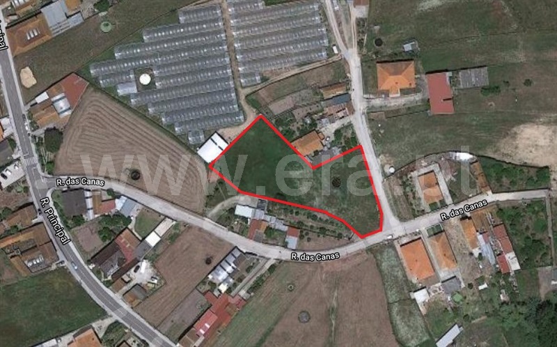 Terreno / Vagos, Ponte de Vagos e Santa Catarina