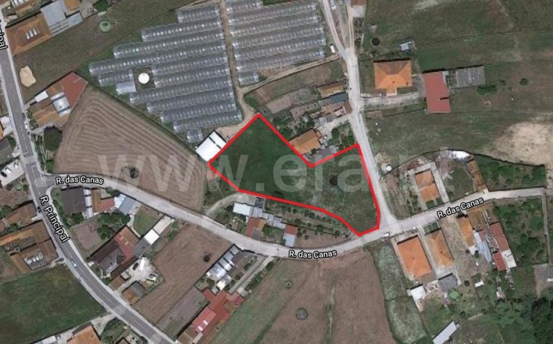 Land for sale in Vagos, Portugal — €59,000