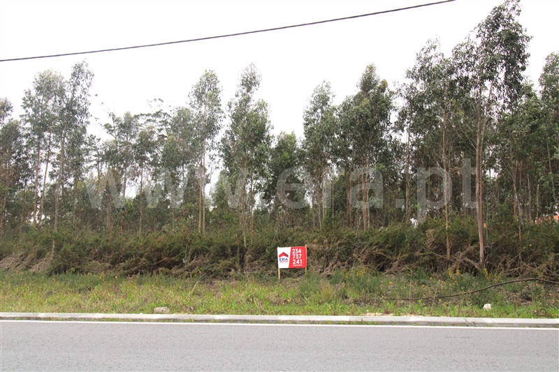 Terreno para Construção  Vagos, Quintã, Vagos - 1308236 - 4