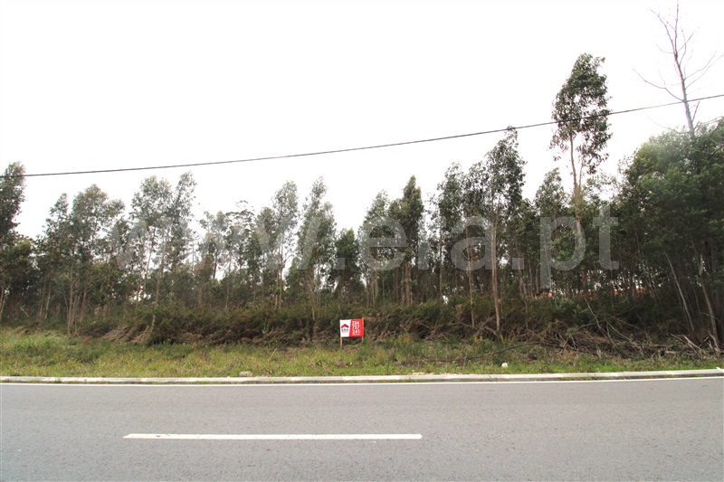 Terreno para Construção  Vagos, Quintã, Vagos - 1308236 - 5