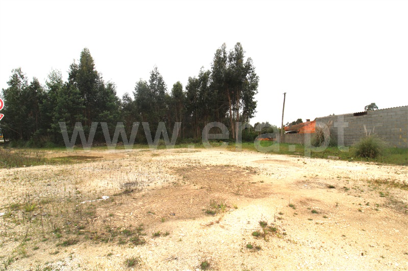 Terreno para Construção  Vagos, Quintã, Vagos - 1308236 - 6