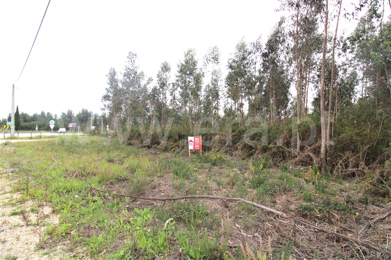 Terreno para Construção  Vagos, Quintã, Vagos - 1308236 - 7