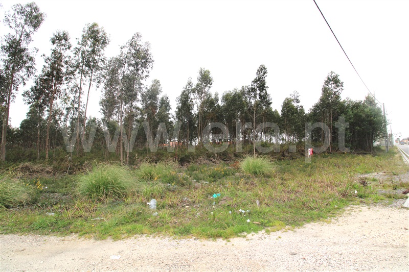 Terreno para Construção  Vagos, Quintã, Vagos - 1308236 - 8