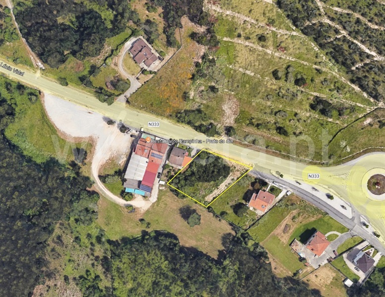 Terreno / Vagos, Sosa