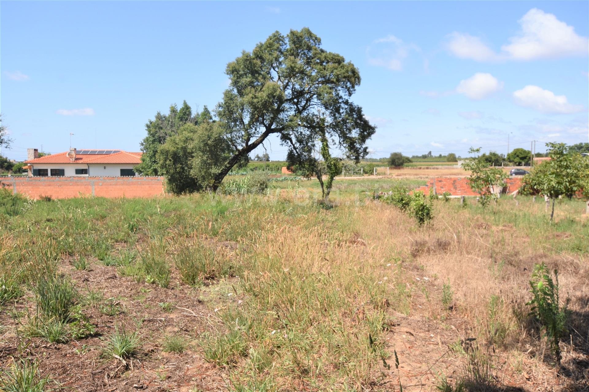 Land for sale in Vagos, Portugal — €140,000