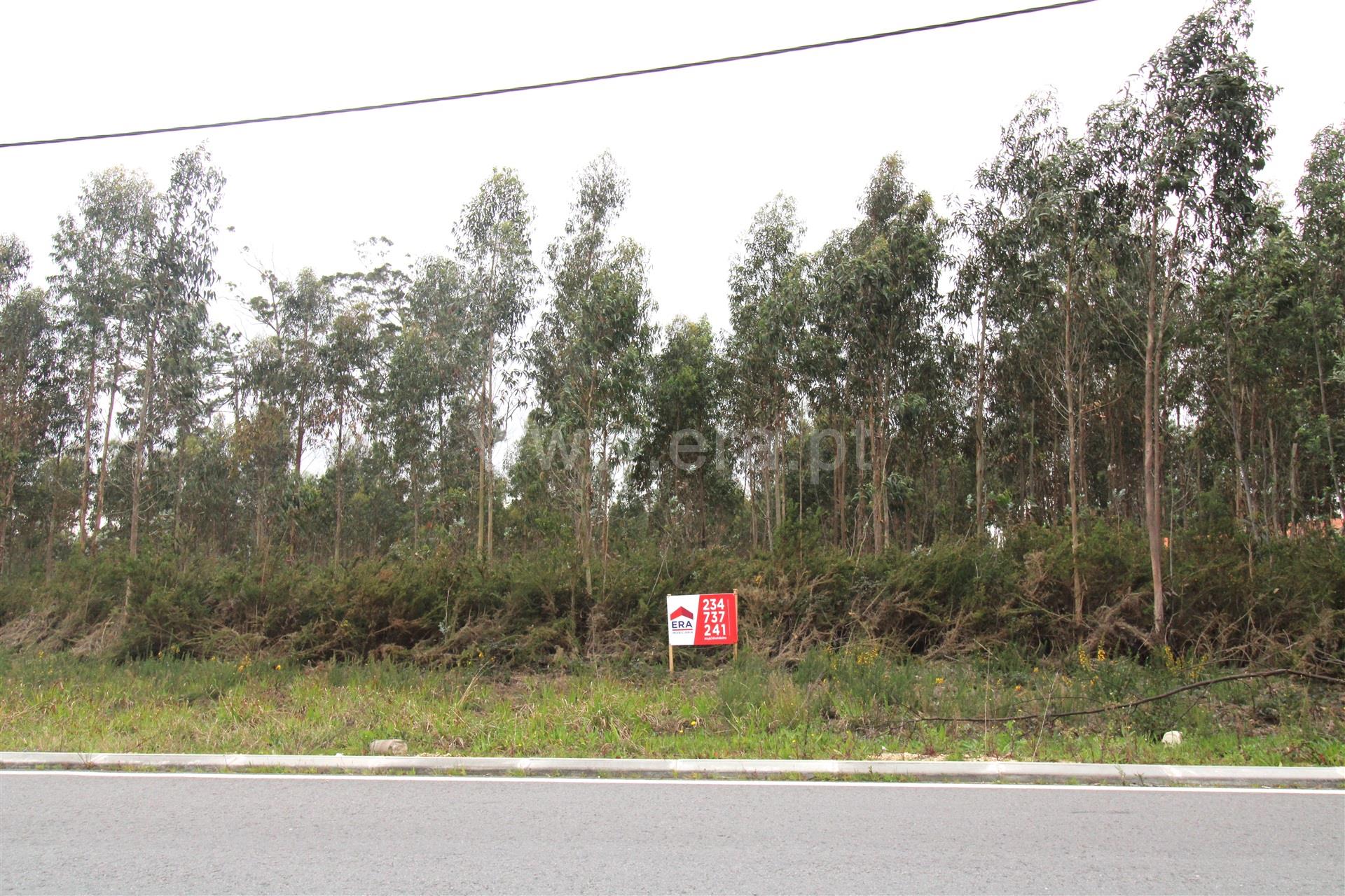 Land for sale in Vagos, Portugal — €96,000