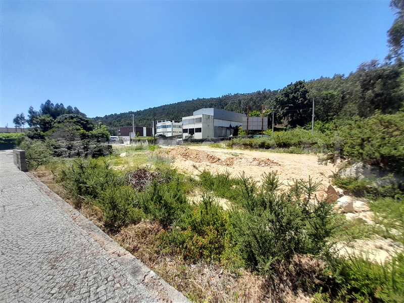 Terreno  com Urbano Vale de Cambra, Algeriz - 1335411 - 3