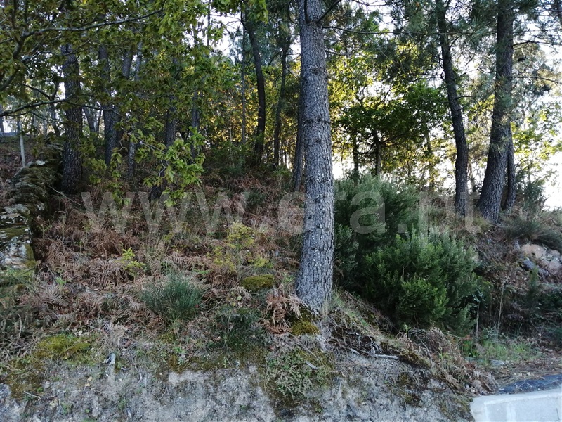 Terreno  Vale de Cambra, Cepelos - 1240160 - 1