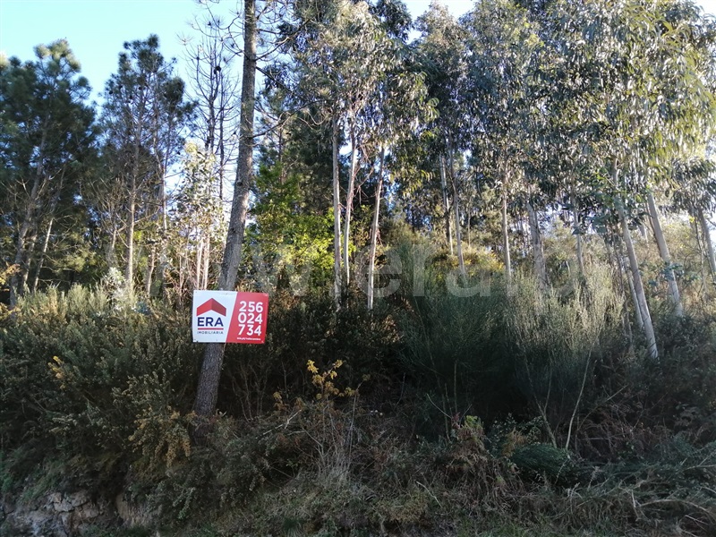 Terreno  Vale de Cambra, Cepelos - 1240160 - 2
