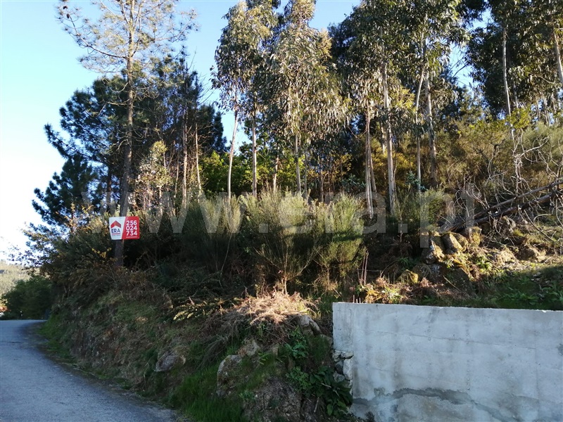 Terreno  Vale de Cambra, Cepelos - 1240160 - 3