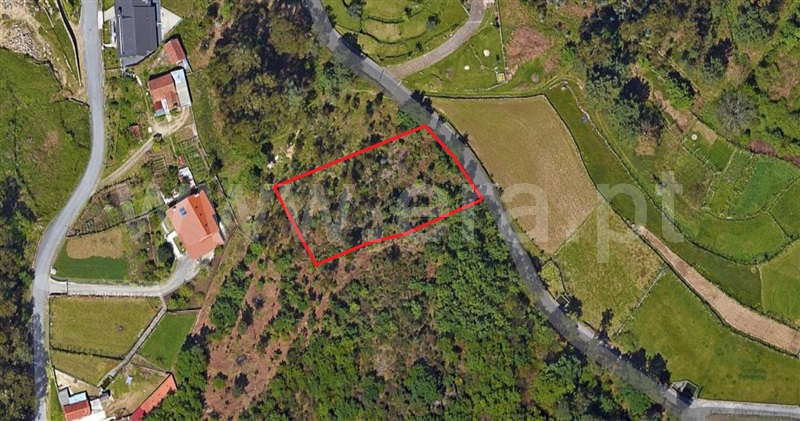 Terreno / Vale de Cambra, Cepelos