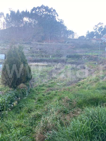 Terreno  Vale de Cambra, Junqueira - 1230486 - 1