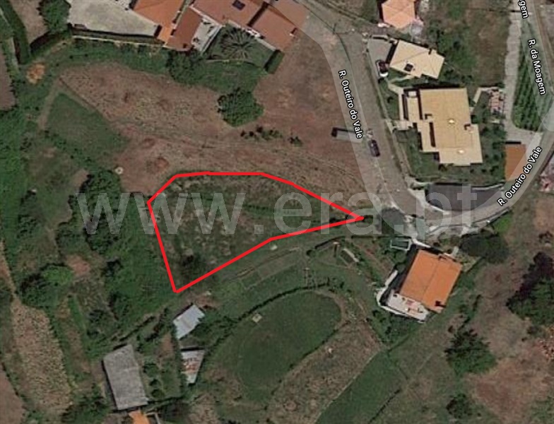 Terreno / Vale de Cambra, Junqueira
