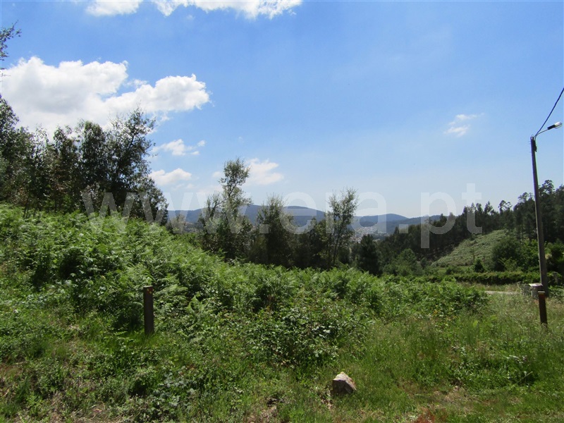 Terreno  Vale de Cambra, Macieira de Cambra - 1015057 - 3