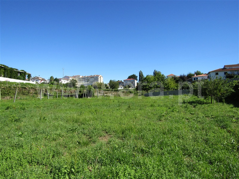 Terreno / Vale de Cambra, Macieira de Cambra