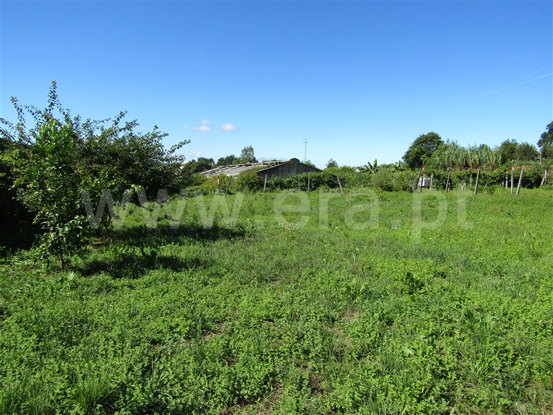 Terreno  Vale de Cambra, Macieira de Cambra - 1116972 - 2