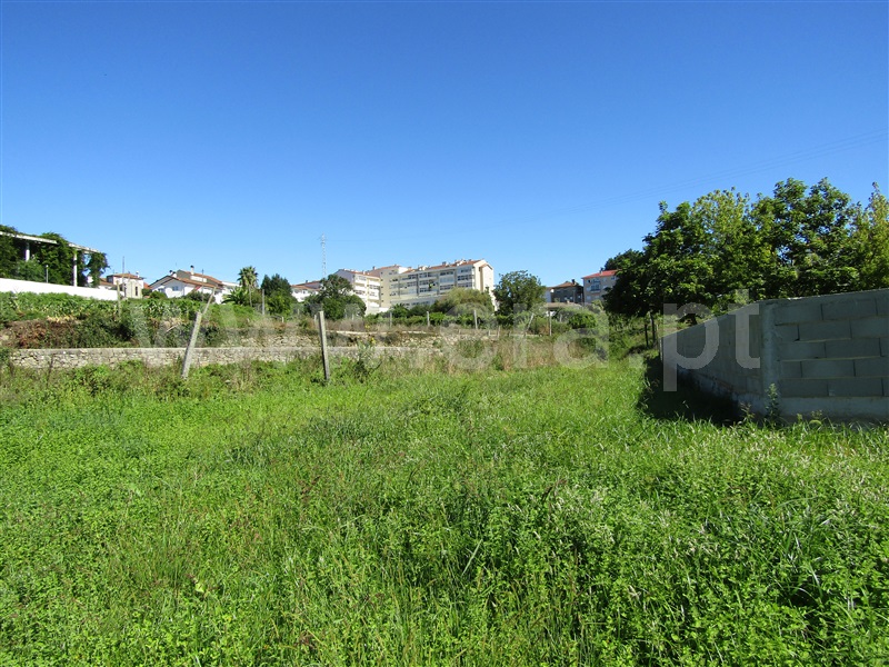 Terreno  Vale de Cambra, Macieira de Cambra - 1116972 - 3