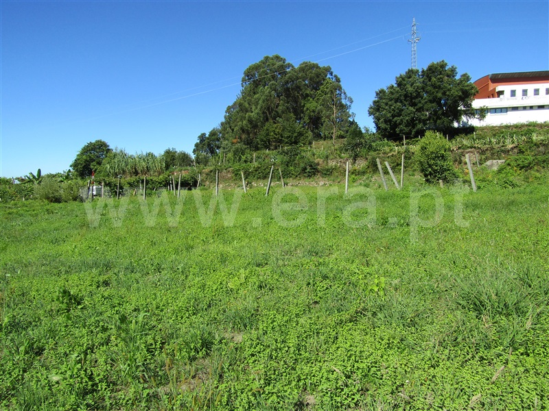 Terreno / Vale de Cambra, Macieira de Cambra