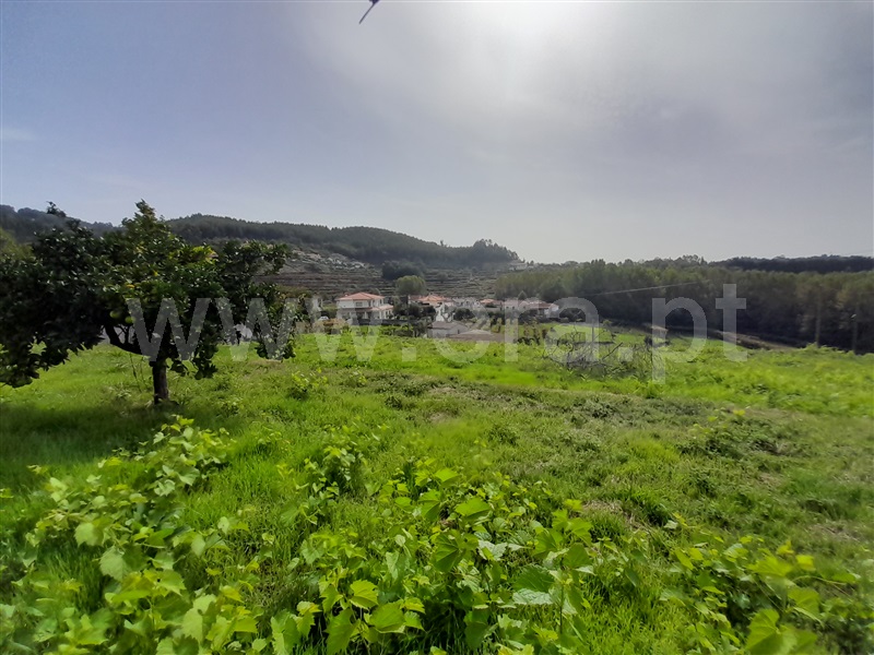Terreno para Construção  Vale de Cambra, Macieira de Cambra - 1278492 - 7