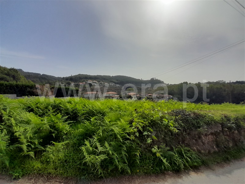 Terreno para Construção  Vale de Cambra, Macieira de Cambra - 1278492 - 8