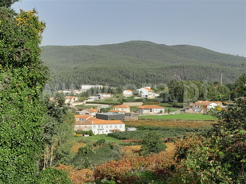 Terreno / Vale de Cambra, Macieira de Cambra