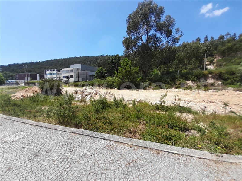 Terreno / Vale de Cambra, Macieira de Cambra