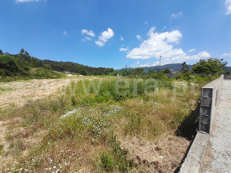 Terreno / Vale de Cambra, Macieira de Cambra