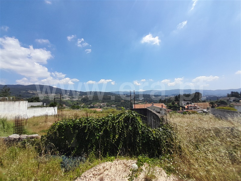 Terreno / Vale de Cambra, Macieira de Cambra