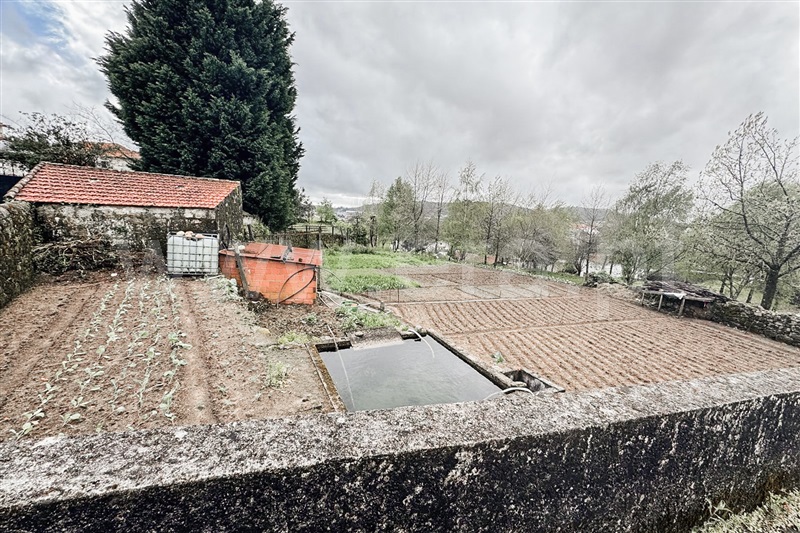 Terreno / Vale de Cambra, Macieira de Cambra