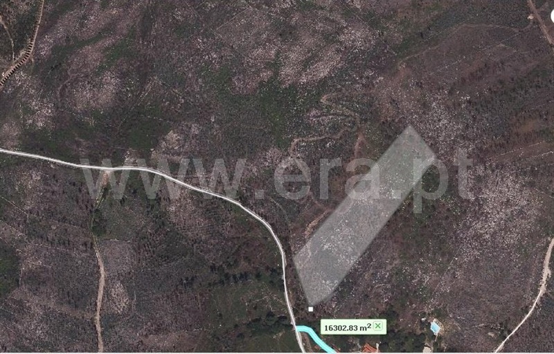 Terreno / Vale de Cambra, Roge