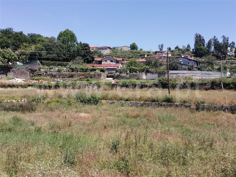 Terreno / Vale de Cambra, Roge
