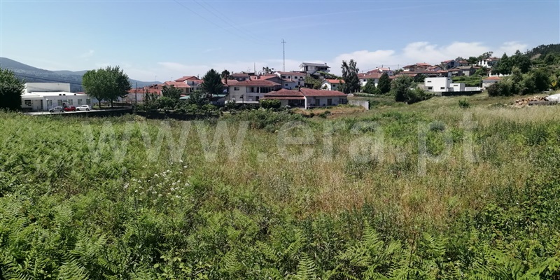 Terreno Urbano  Vale de Cambra, Roge - 1244153 - 5