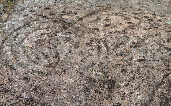 Terreno  com Urbano Vale de Cambra, Roge - 1304974 - 13