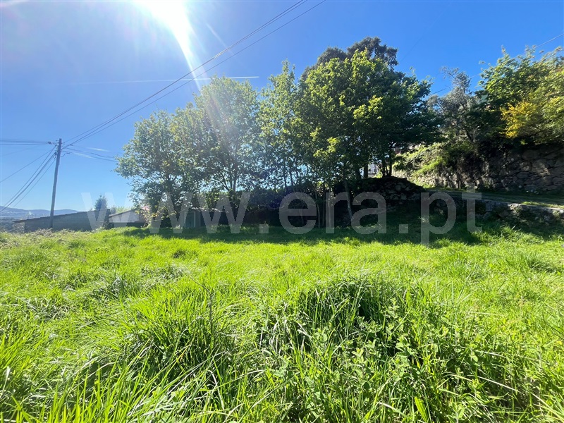 Terreno  com Urbano Vale de Cambra, Roge - 1304974 - 13