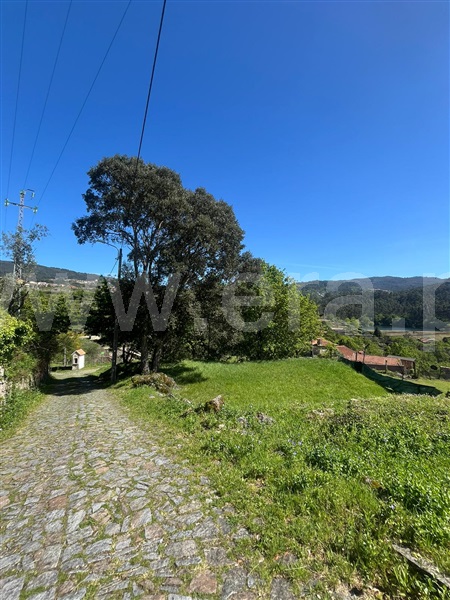 Terreno  com Urbano Vale de Cambra, Roge - 1304974 - 14