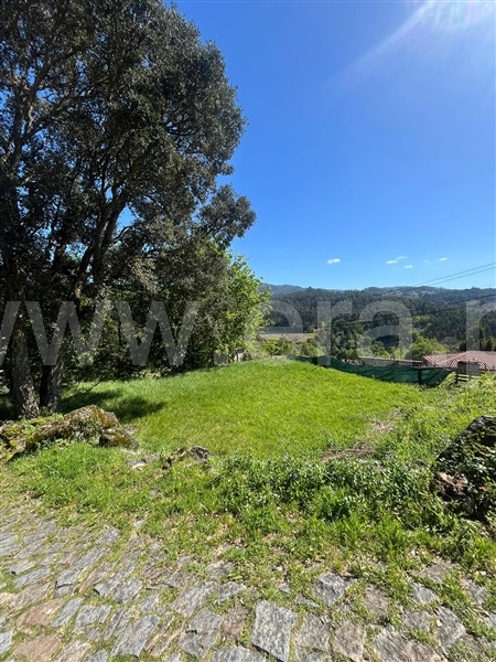 Terreno  com Urbano Vale de Cambra, Roge - 1304974 - 21